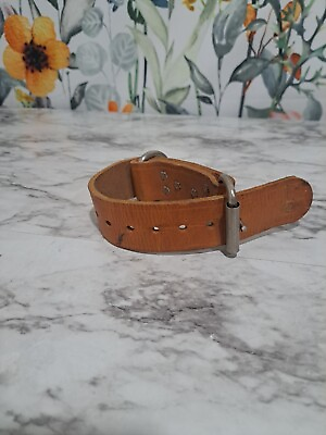 #ad Leather Dog Collar Studded 16 inch Long and 1.5 Inch broad $12.99