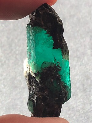 #ad Natural Emerald Crystal from Brazil 67.75 Carats $599.00