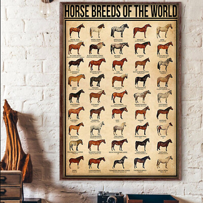 #ad Horse Breeds Of The World Horses Poster $30.14