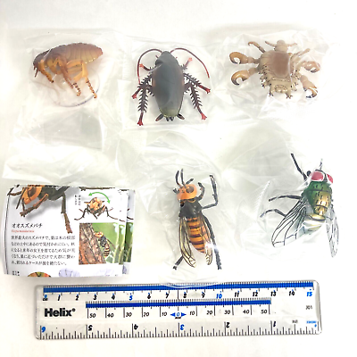 #ad Kaiyodo Capsule Q Museum Harmful Insect Figure Set of 5 Japan Hornet Cockroach $39.99