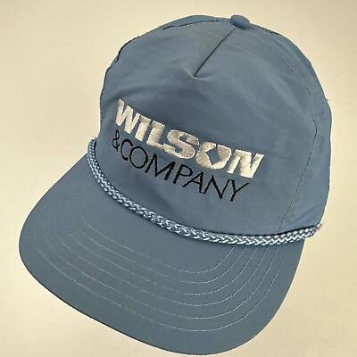 #ad Wilson amp; Company Ball Cap Hat Snapback Baseball Blue $10.49
