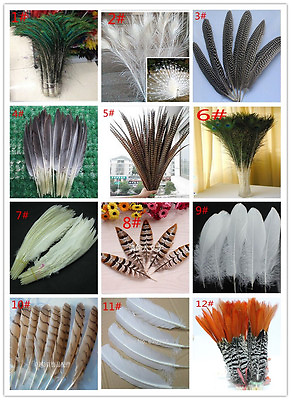 #ad Wholesale 10 100PCS 10 65cm 4 26inches Pheasant tail amp; Goose feather DIY $98.99