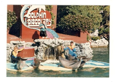 #ad Vintage 1987 Photo DOLPHIN DISCOVERY SHOW Sea World San Diego 1980#x27;s R156 G $1.00
