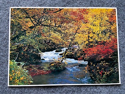 #ad Autumn River Vintage Postcard $3.74