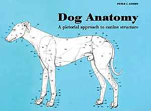 #ad Dog Anatomy: A Pictorial Approach to Canine Paperback by Goody Peter Good $7.64