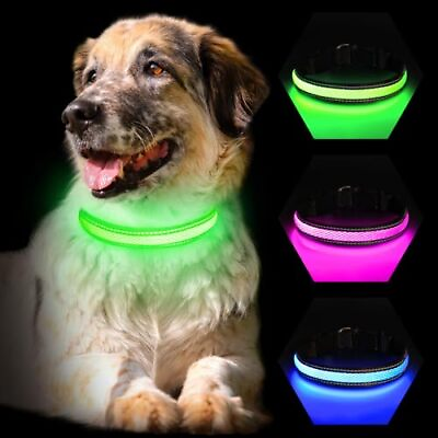 #ad Light Up Dog Collar Glow Dog Collar RechargeableSuper Bright Lighted Dog Coll... $25.34