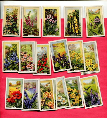 #ad 1939 PARK DRIVE GALLAHER Ltd CIGARETTES WILD FLOWERS 25 COLLECTOR CARD LOT $5.99