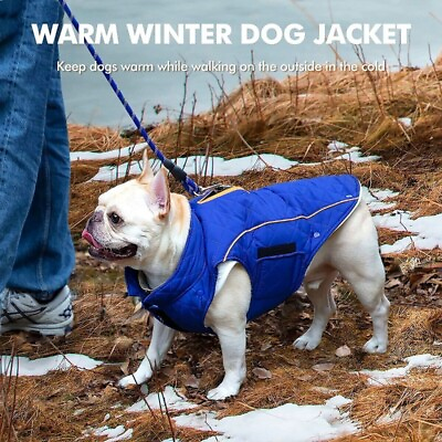 Dog Winter Coat Quilted Dog Jacket Reflective Insulated Dog Parka Detachable XL $15.98