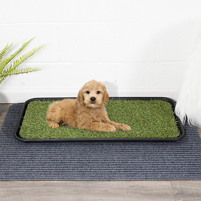 #ad Ottomanson Pet Collection Pet Potty Training Pee Pad with Tray 15 x 30 Green $23.21