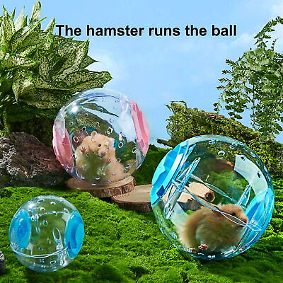 #ad Durable Hamster Running Ball Fun Exercise Toy with Buckle Closure for Boredom $28.74
