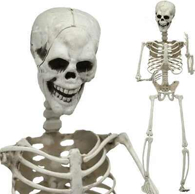 #ad 3 5.6ft Halloween Skull Skeleton Poseable Human Full Life Size Prop Party Decor $8.90