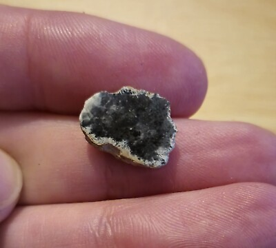 #ad Bechar 003 0.74g Lunar Felspathic Breccia Meteorite End Cut GBP 32.99