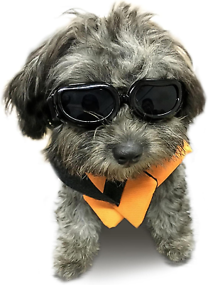#ad Small Dog Goggles UV Protection Windproof Small Motorcycle Pet Doggy Sunglasses $15.21
