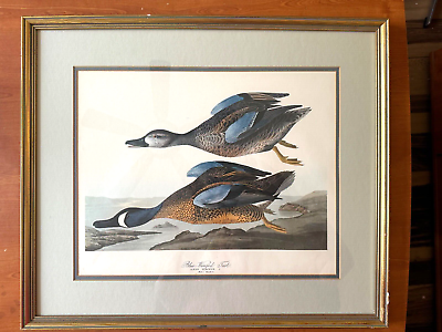 #ad John Audubon Litho Print Blue Winged Teal Ducks Framed Matted Glass 23 x 20 $89.10