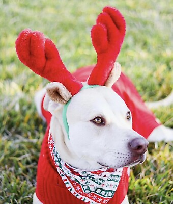 #ad Christmas Reindeer Antlers For Dogs Large $7.49