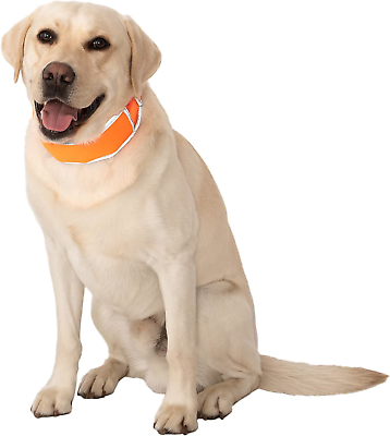 #ad CoolerDog Hi Vis Dog Cooling Collar Orange Reflective Re Freezable Ice Collar $28.63