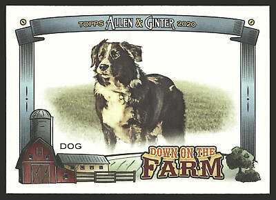 #ad 2020 Topps Allen amp; Ginter #DF D Dog Down on the Farm $1.99
