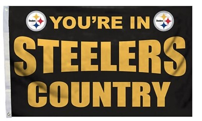 #ad Five Star Flags YOU’RE IN STEELERS COUNTRY Indoor Outdoor 3’x 5’ Pittsburgh NFL $27.99