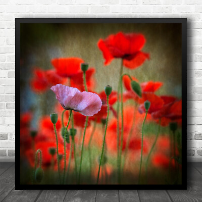 #ad Poppy Pink Red Square Flower Floral Romance Summer Romantic Square Art Print GBP 20.76