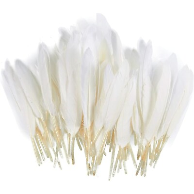 #ad 100 Piece Goose Feathers Natural Feathers for DIY Crafts DIY Wedding amp; Party $8.99