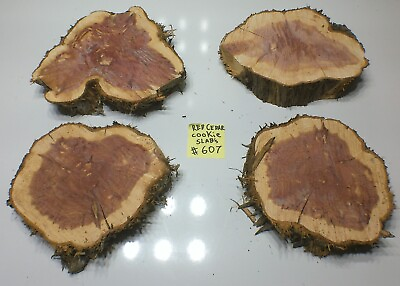 #ad 4 Eastern Red Cedar Slab Cookies 9 12in Wide 2.75quot; Thick LOT#607 SHIPs FREE $50.00