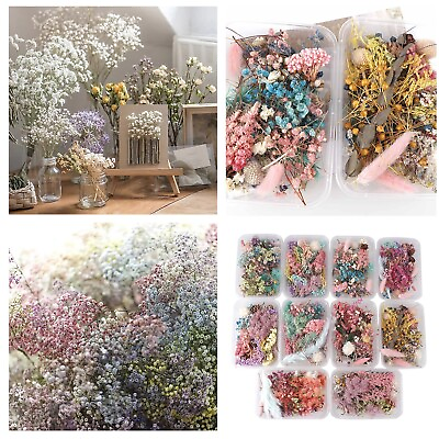 #ad 1PC Dried Flowers Natural Floral Art Craft Scrapbooking Resin Jewelry Making $5.99