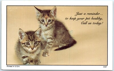 #ad Postcard Just Reminder to Keep Your Pet Healthy Call Us Today Kittens Print $8.39