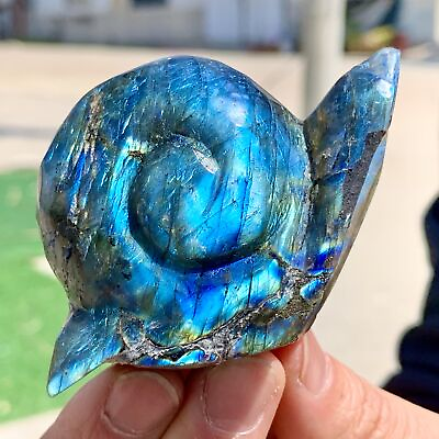 #ad 125g Natural and beautiful Labrador crystal handcrafted snail therapy $110.40
