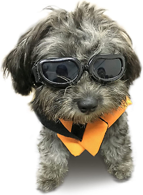 Small Dog Goggles UV Protection Doggy Sunglasses Windproof Small Motorcycle Pet $14.53