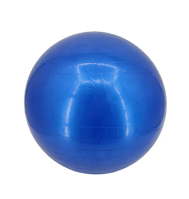 #ad 55Cm Exercise Ball Yoga Ball Fitness Stability Ball Balance Ball Gym Theraball $4.86