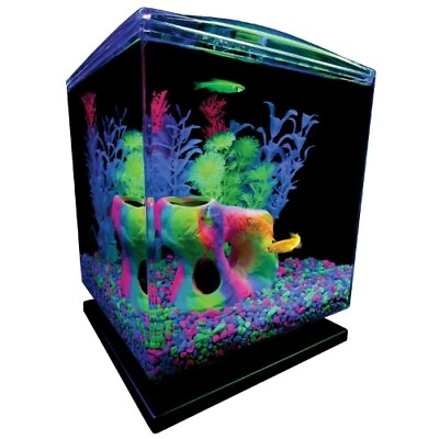 #ad Betta Glass Aquarium Kit 1.5 Gallons Easy Setup and Maintenance $22.78