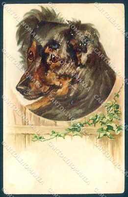 #ad Animals Dog Shepherd CORNER CREASE cartolina postcard TW1281 $9.60