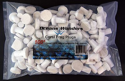 #ad 100 CURED CORAL FRAG PLUGS FOR LIVE CORAL REEF PROPAGATION $20.99
