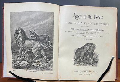 #ad 1892 RARE Kings of the Forest W.A. Foster Large format illustrated gift book $65.00
