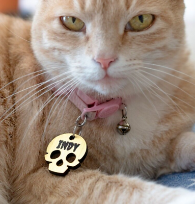 #ad Gold Skull Personalized Dog Cat Pet ID Skull Charm Keychain Collar Human Tag $15.99