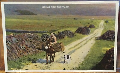 Irish Postcard GOING FOR THE TURF Peat Girl Woman Donkey Dog Baskets Dennis $7.50