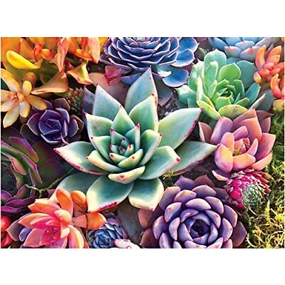 #ad 5D Painting by Number Kits for Adults Kids Succulent Full Round Drill DIY Dia... $13.85
