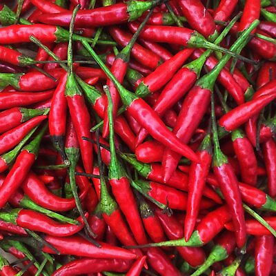 #ad Thai Hot Pepper Seeds Non GMO Free Shipping Seed Store 1288 $1.99