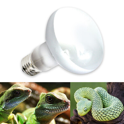 #ad Reptile Pet Heating Lamp Ultraviolet Heater Lamp Aquarium Temperature Controller $8.31