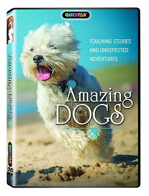 #ad Amazing Dogs DVD Hosted by John Ross Terry Stokes Dr. Aine McCarthy $26.63