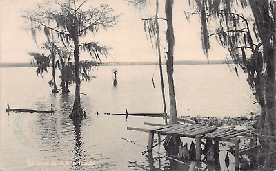 #ad View of the Lake Lake Charles Louisiana Very Early Postcard Used in 1907 $12.00