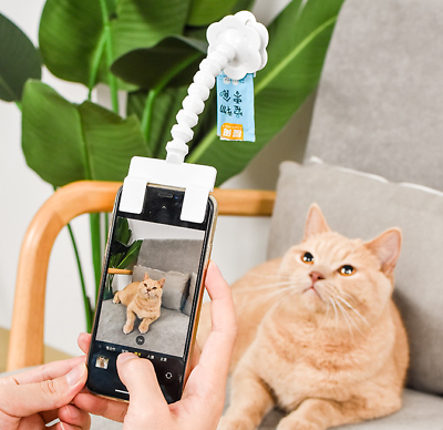 #ad #ad Pet photo artifact cat dog look at the camera toy mobile phone camera holder $7.06