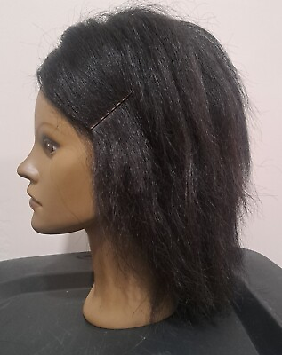 #ad 100% Human Hair Ethnic African American Destiny Clic Mannequin Model Black $29.99