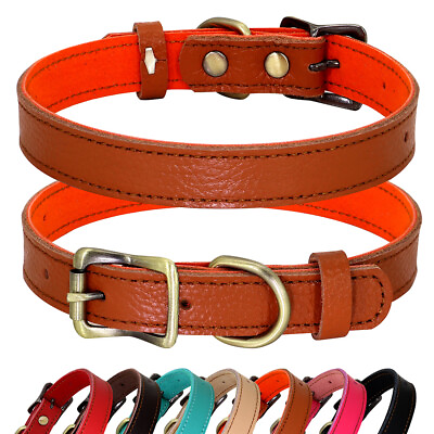 #ad Leather Dog Collars for Small Dogs Pet Puppy Cat Kitten Neck Straps Yorkie S M $8.49