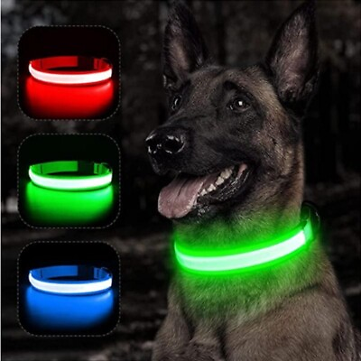 #ad Reflective LED Light Puppy Collar Rechargeable Waterproof Dark Dog Bulk 3 Sets $38.99