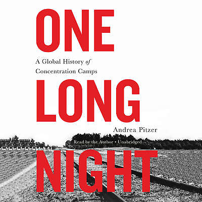 #ad One Long Night by Andrea Pitzer 2017 Unabridged CD 9781478991144 $25.20