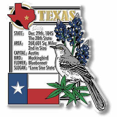 #ad Texas State Montage Magnet by Classic Magnets 3.2quot; x 3.5quot; $8.99