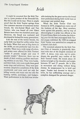 #ad The Irish Terrier CUSTOM MATTED Vintage Dog Art Print quot;Gquot; $15.00