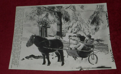 #ad 1972 Press Photo Daniel amp; Paul Lynch Ride Pony Cart On Paper Route Amherst NH $13.11