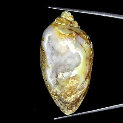 #ad 107.60Cts Fossil Snail Druzy Agate Natural Loose Gemstone 24x49x16mm $14.99